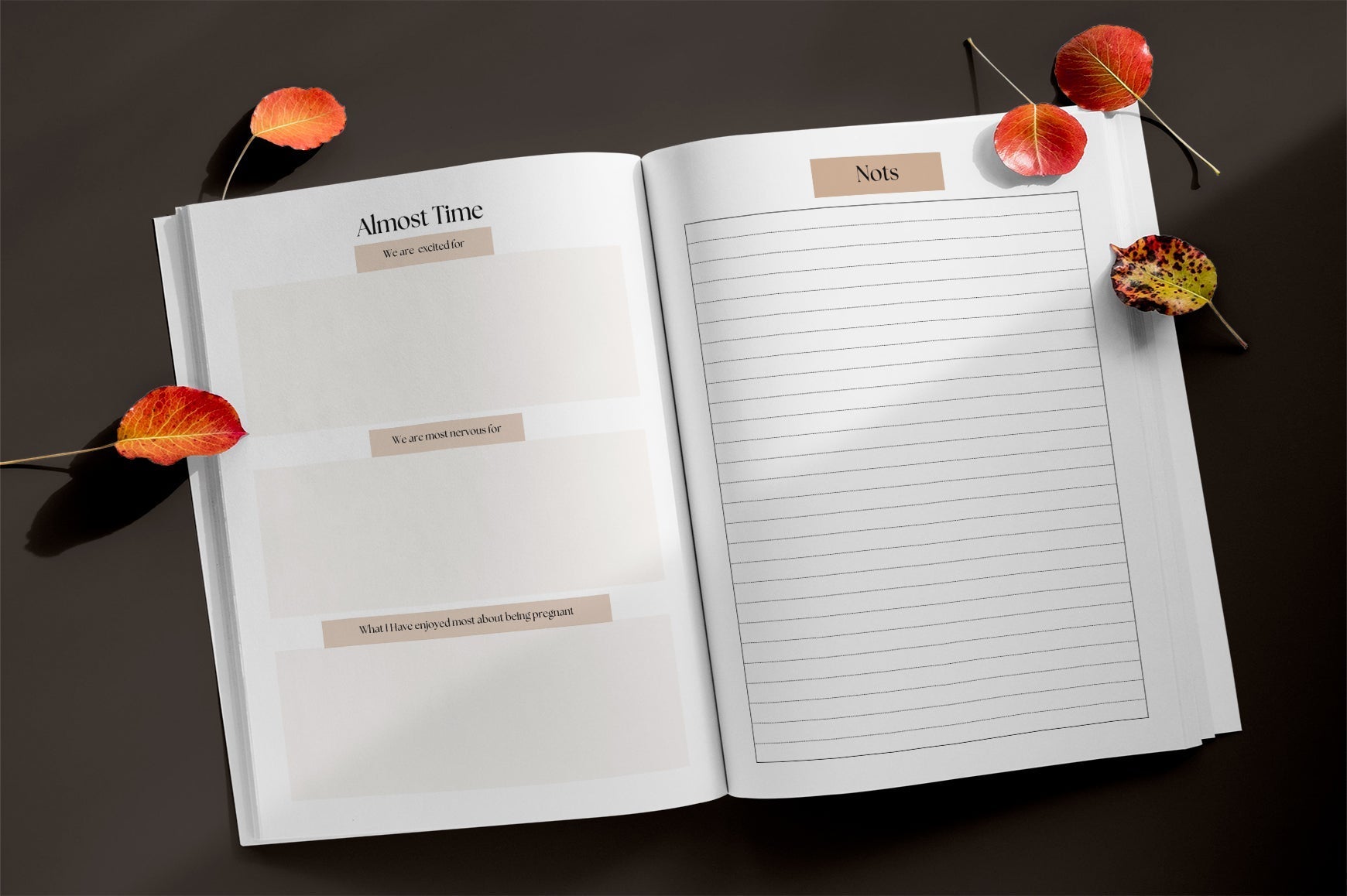 Pregnancy Journal: Capture Your Journey
