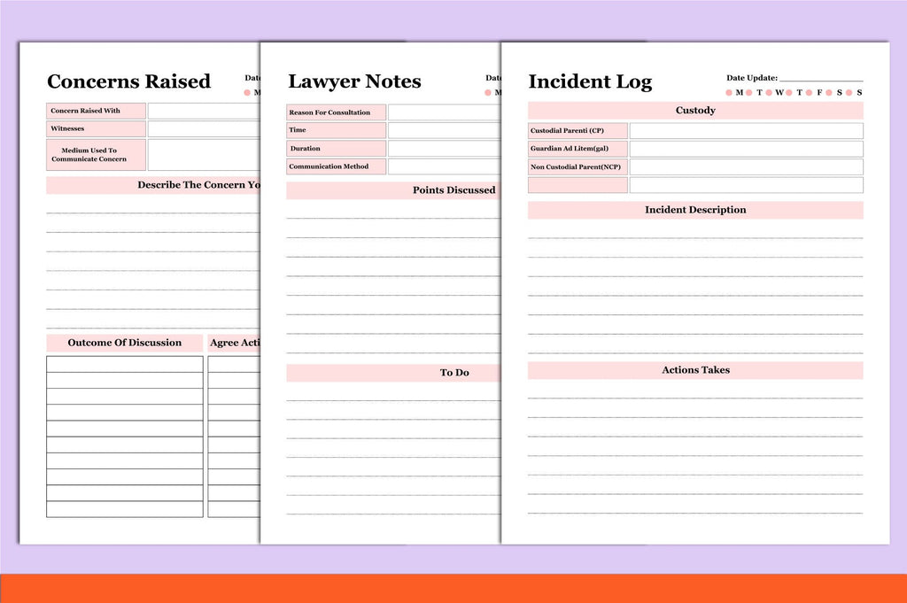 Child Custody Binder Guide