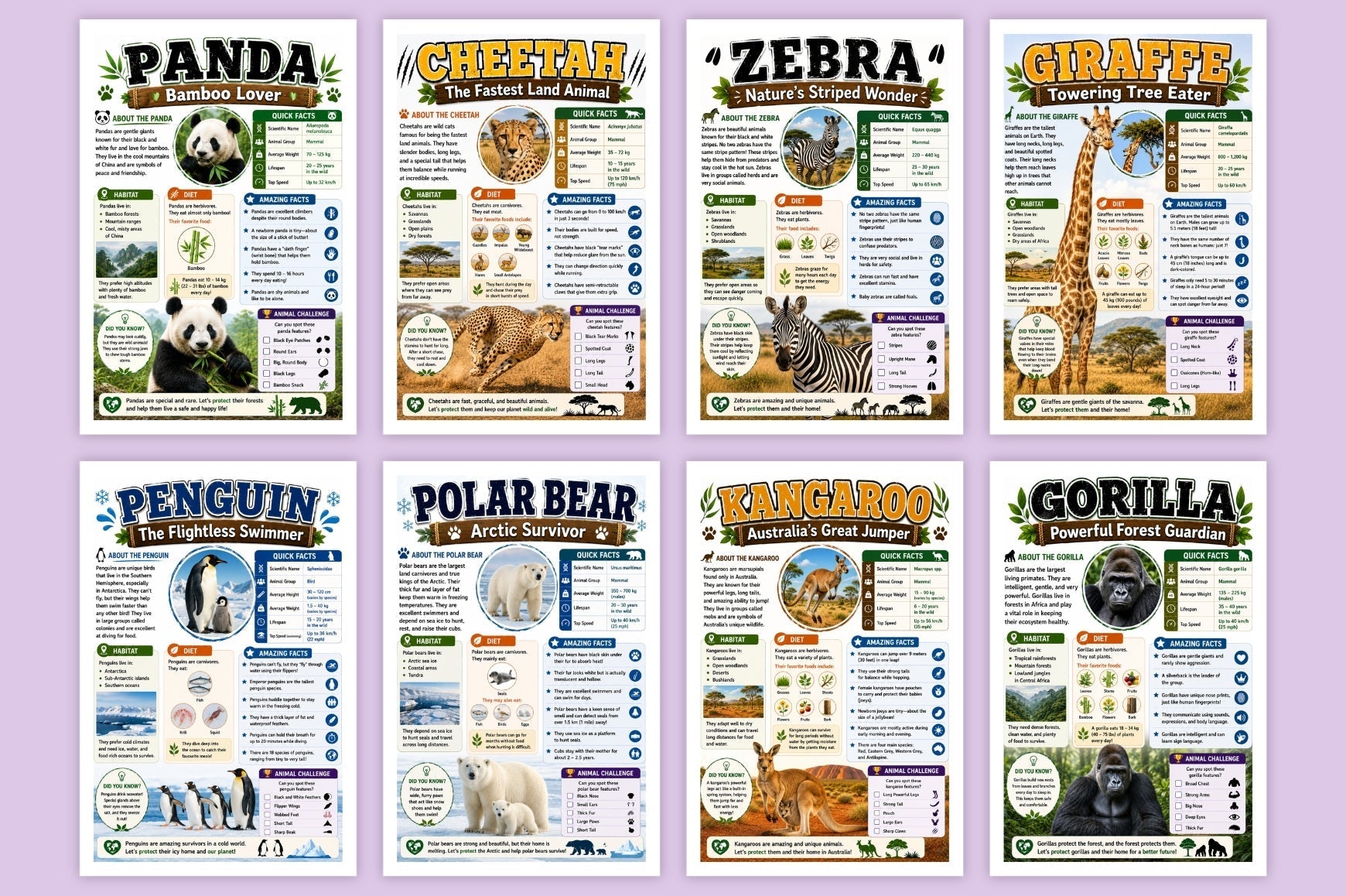 Animal Discovery Adventures