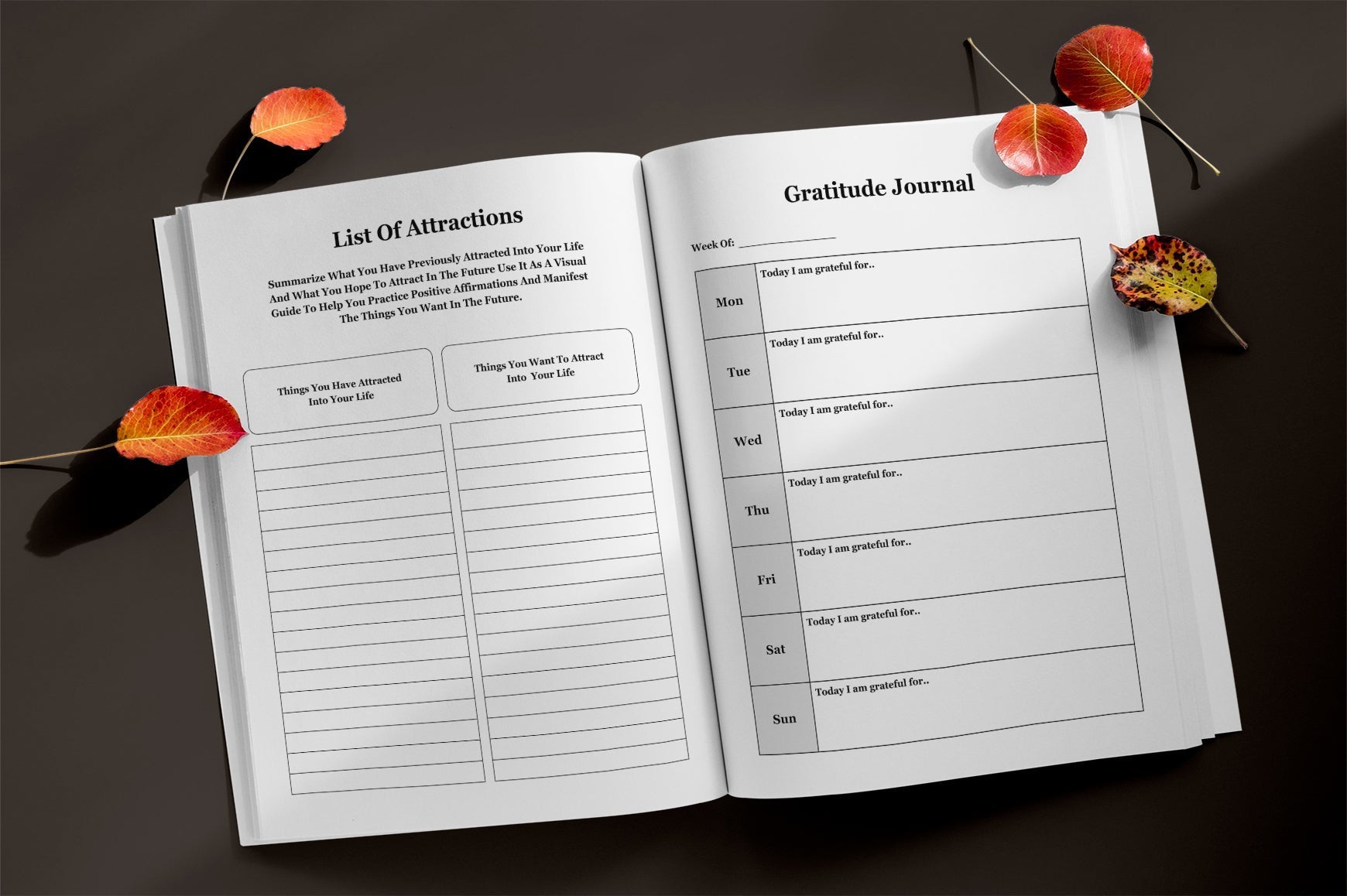 Law of Attraction Planner