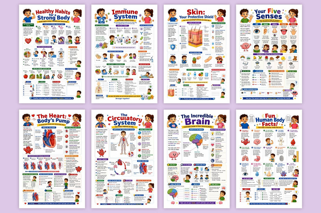 Human Body Adventure For Kids