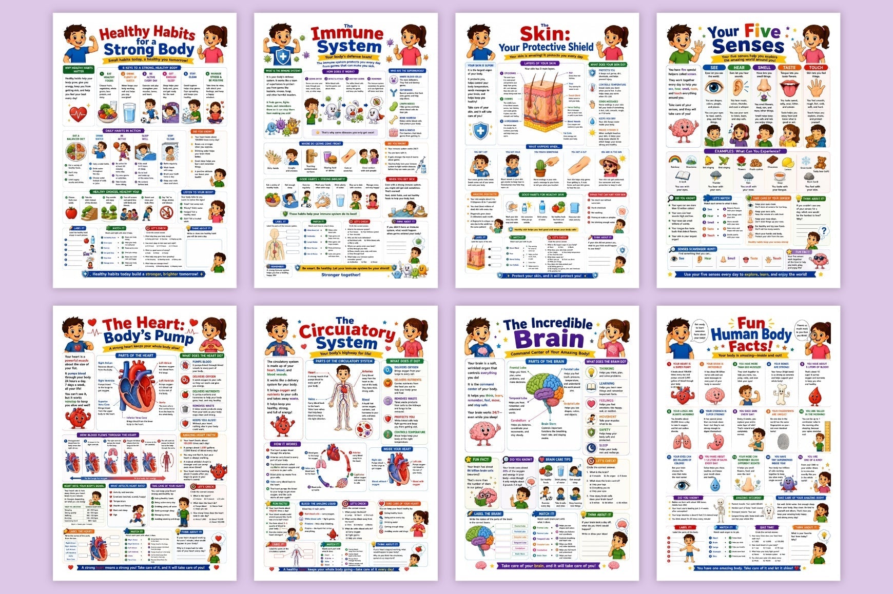 Human Body Adventure For Kids