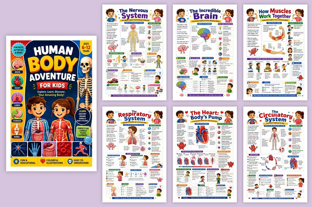Human Body Adventure For Kids