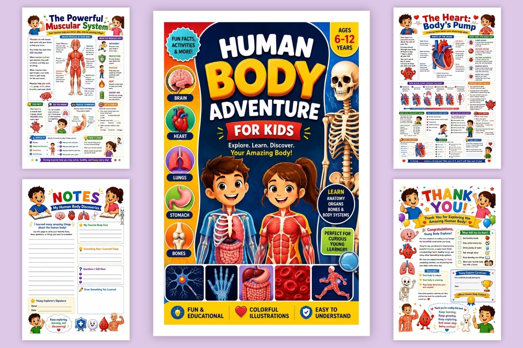 Human Body Adventure For Kids
