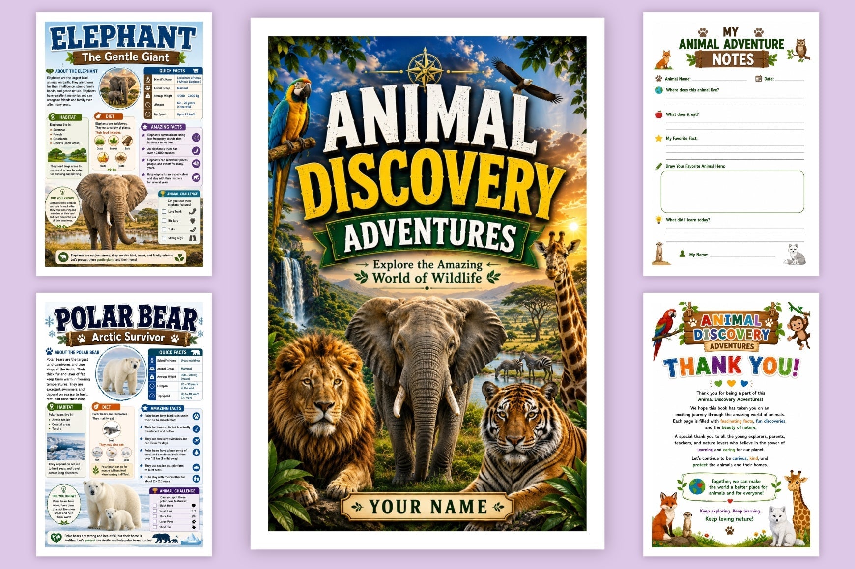 Animal Discovery Adventures
