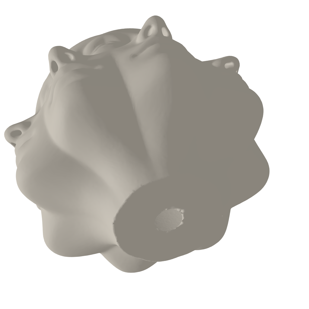 Pretty Pot Faces Planter 3D Print STL File