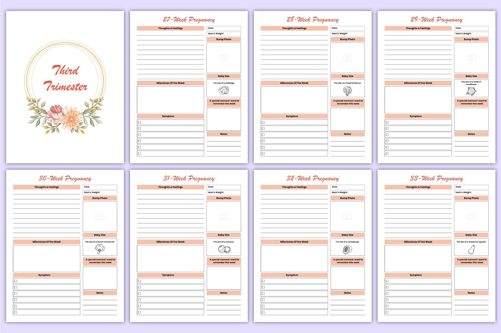 Pregnancy Planner