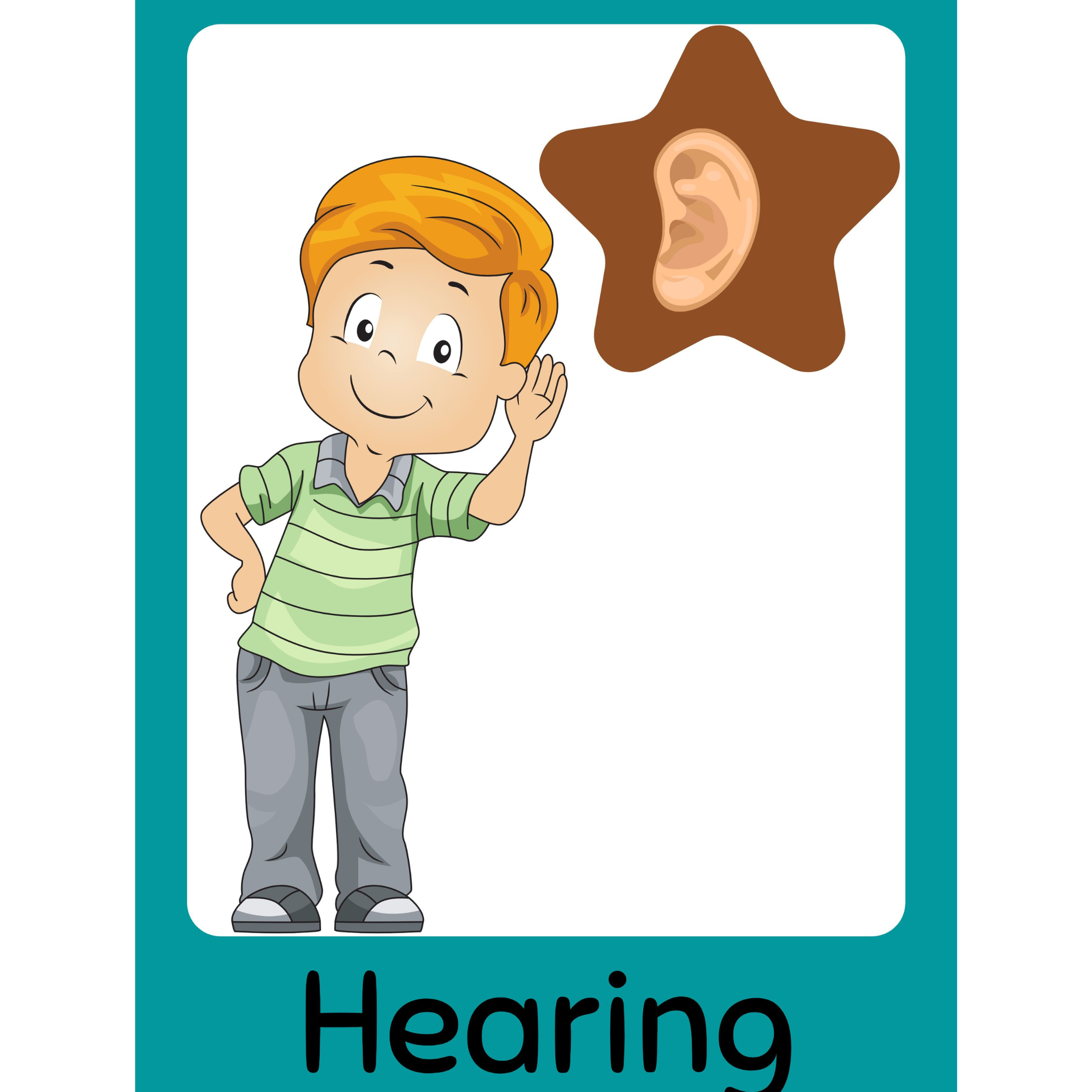 Five Senses Flashcards for Kids