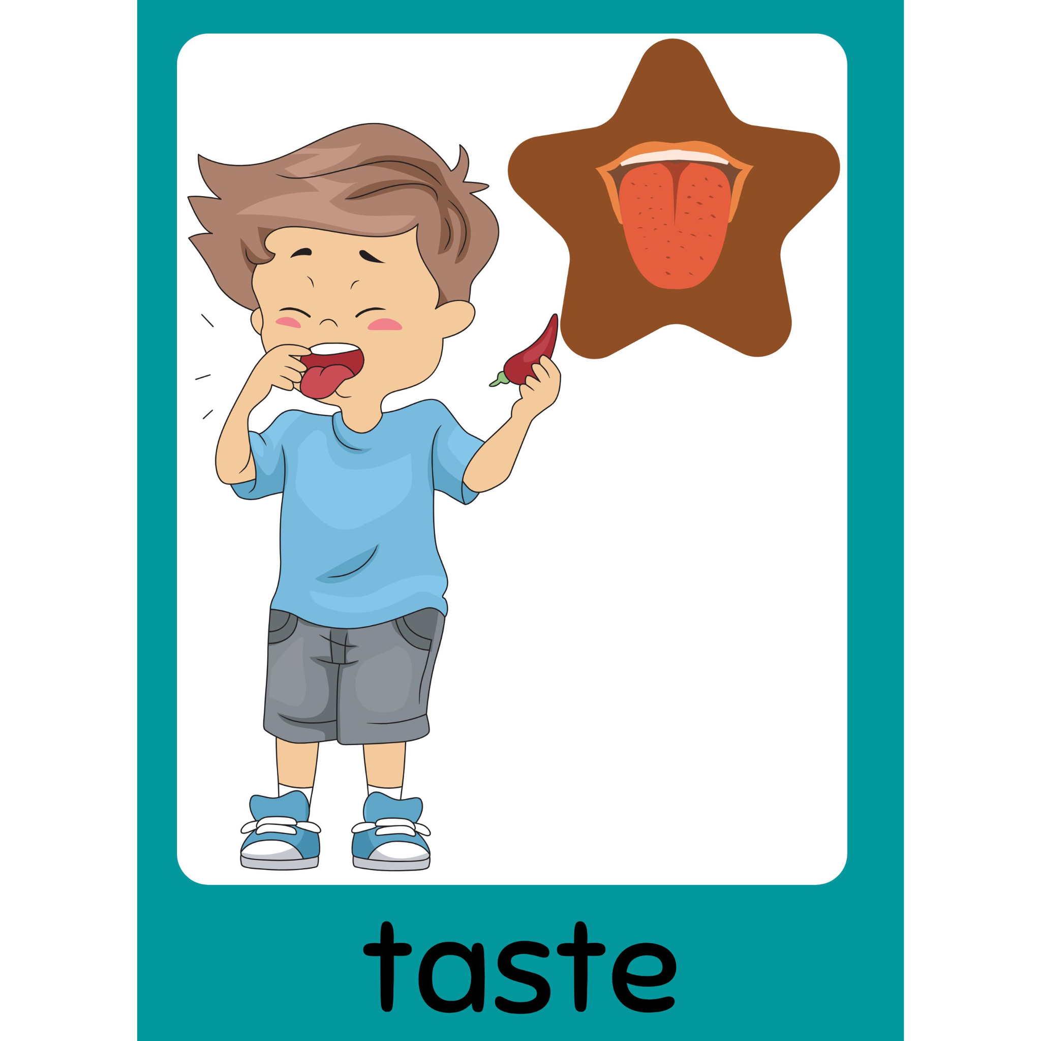 Five Senses Flashcards for Kids