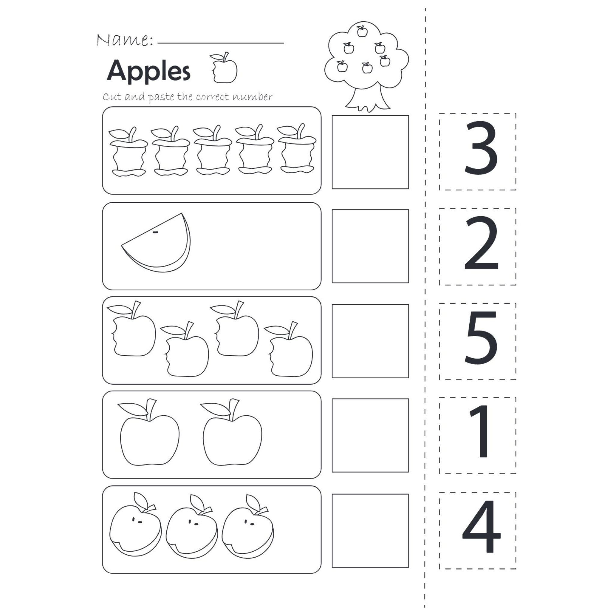 Mixed Number Practice Activity Worksheets
