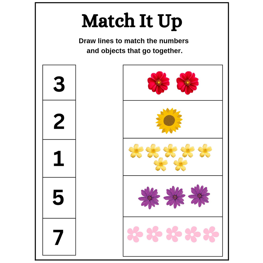 Count and Match Number Worksheets