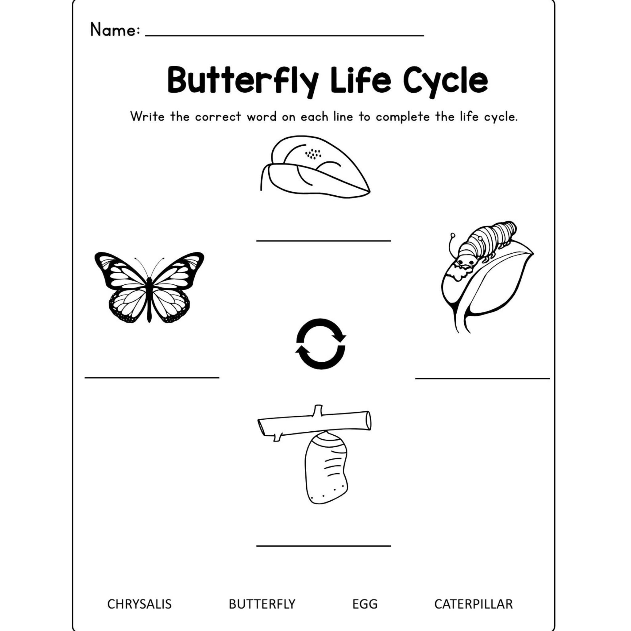 Butterfly Life Cycle Craft Research Activities