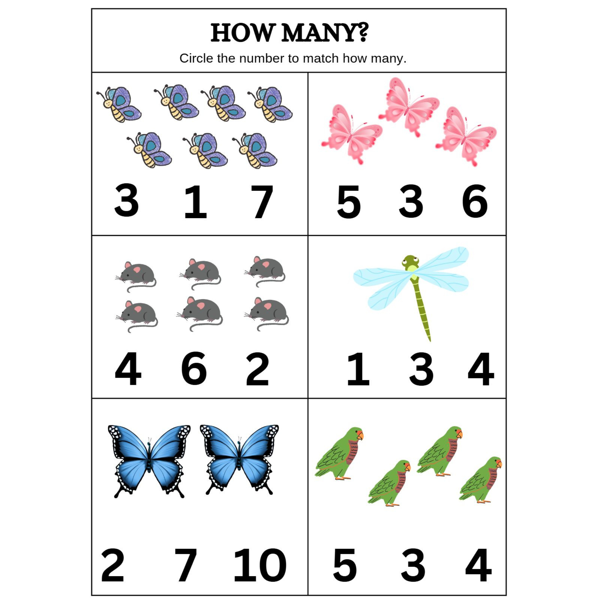 How Many Count and Circle Worksheets