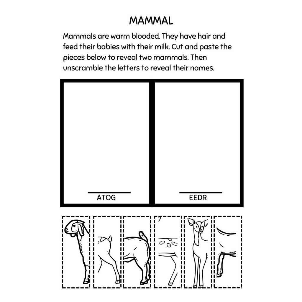 Third Grade Animals Worksheets
