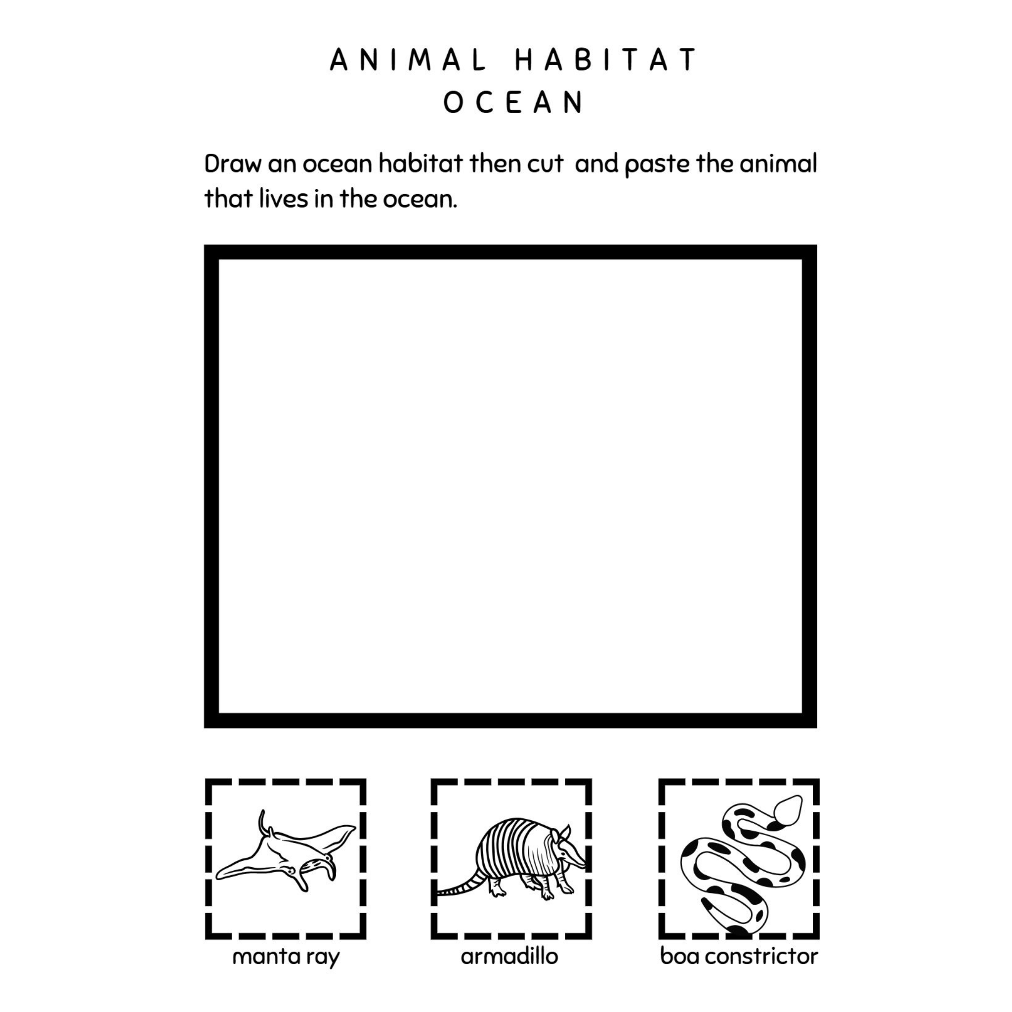 Third Grade Animals Worksheets