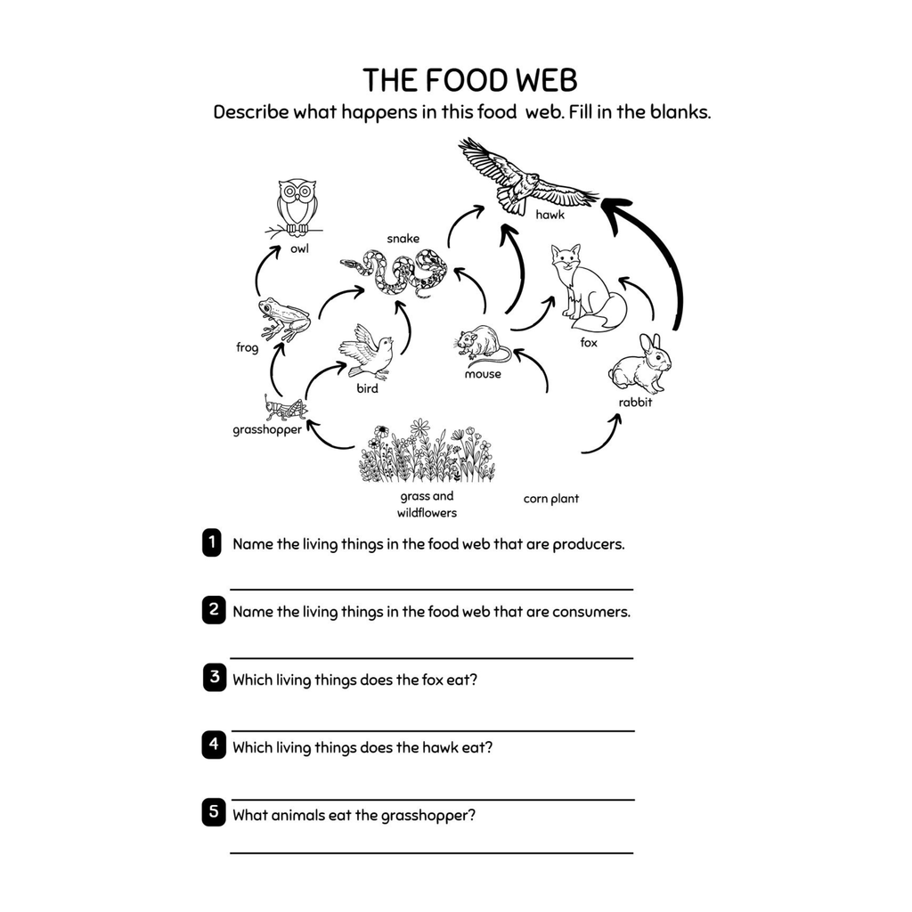 Third Grade Animals Worksheets