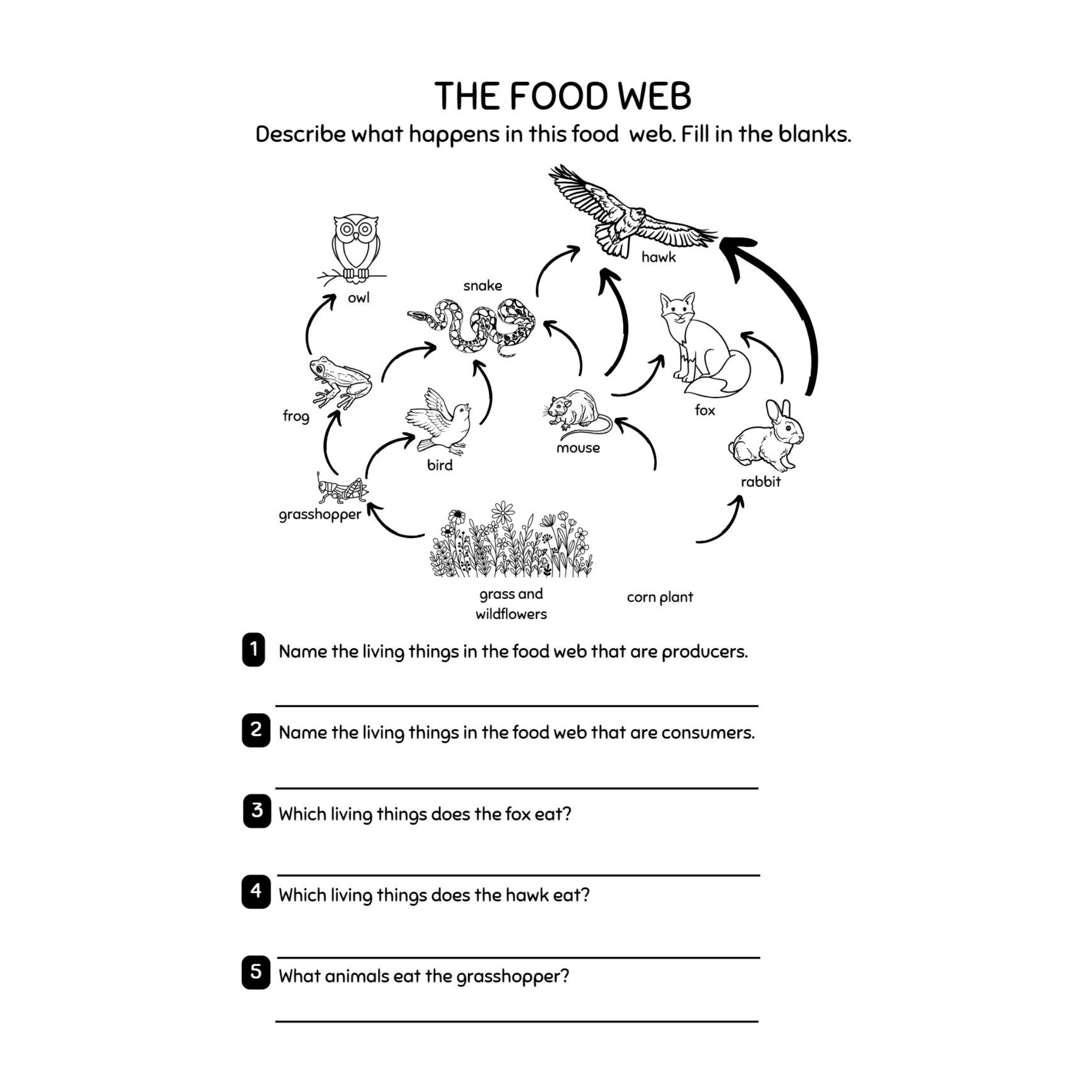 Third Grade Animals Worksheets