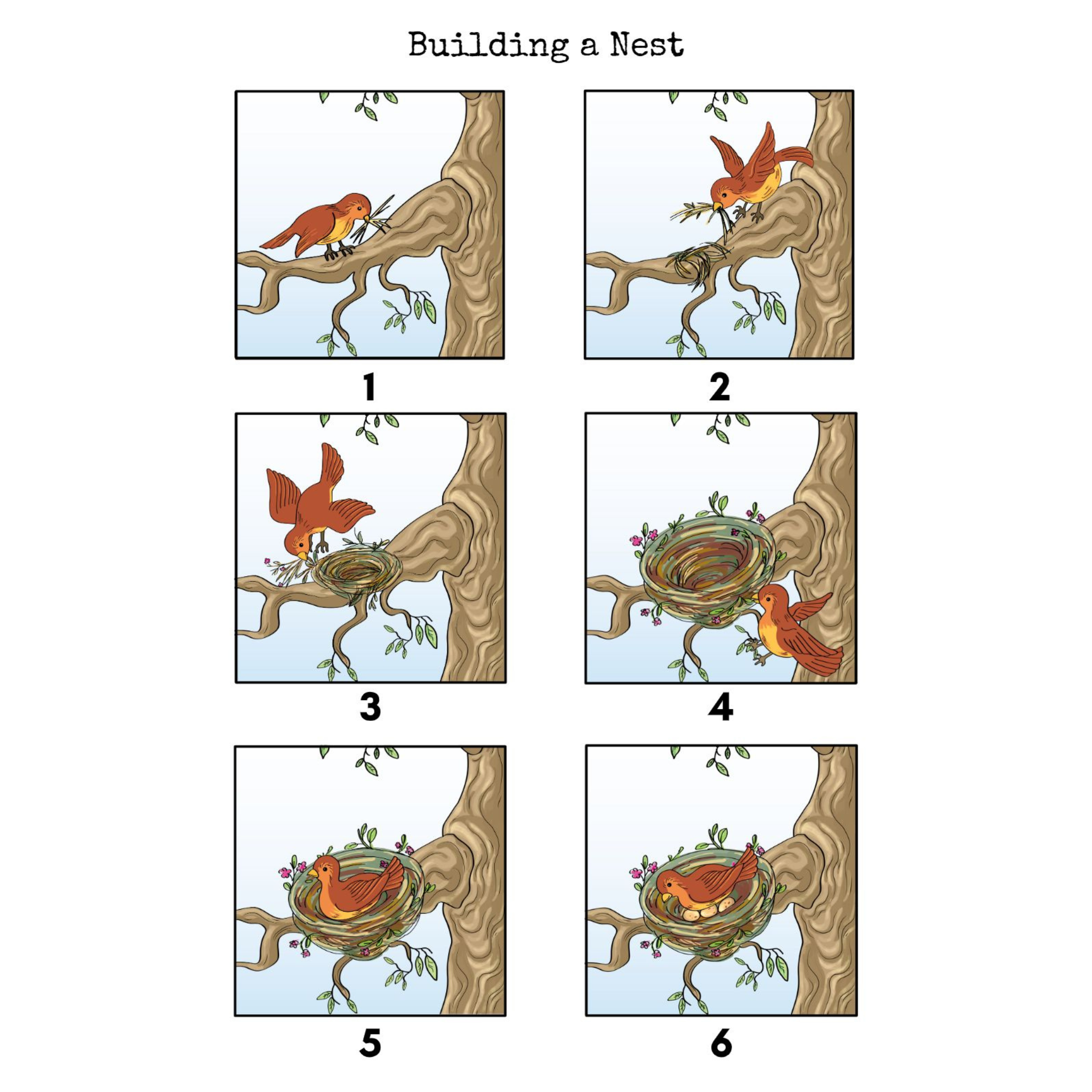Urban Birds Unit Study for City Kids