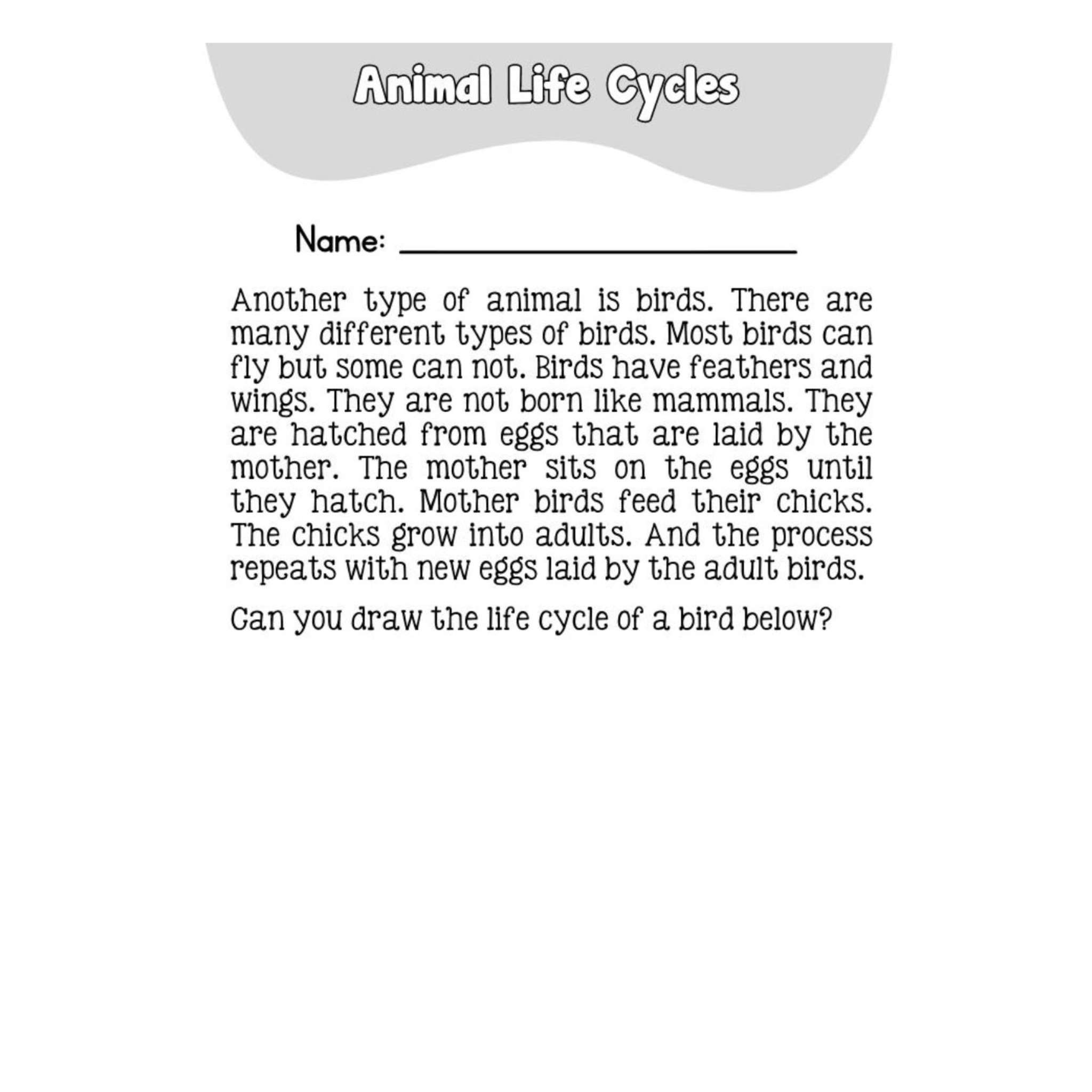 Science Workbook Ages 6 8