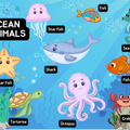 Kids Learning Binder Activity Book