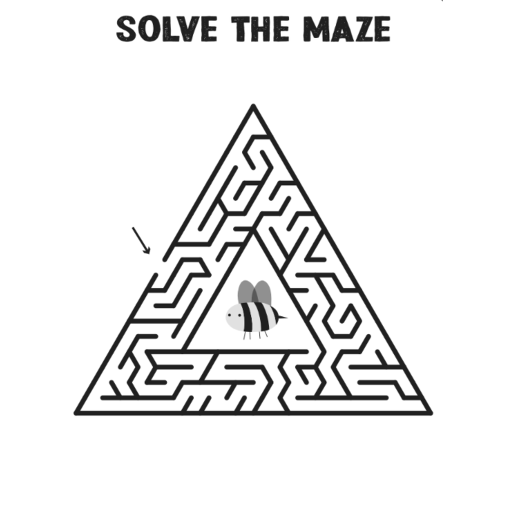 Maze Activity Book for Kids