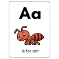 Alphabet Picture Flashcards