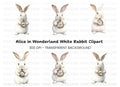 White Rabbit with Pocket Watch Clipart Bundle