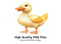 Adorable Duckling Illustration Clipart Bundle