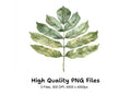 Green Leaves Clipart Bundle