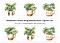 Monstera Plant Clipart Bundle
