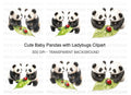 Cute Panda and Ladybugs Clipart Bundle