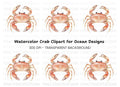 Light Orange Crab Clipart Bundle