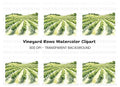 Green Vineyard Rows Clipart Bundle