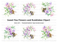 Sweet Pea Flowers with Bumblebees Clipart Bundle