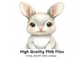 Cute Baby Bunny Faces Clipart Bundle