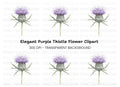 Elegant Thistle Bloom Clipart Bundle