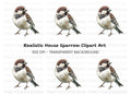 Sparrow Bird Clipart Bundle