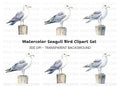 Seagull Clipart Bundle