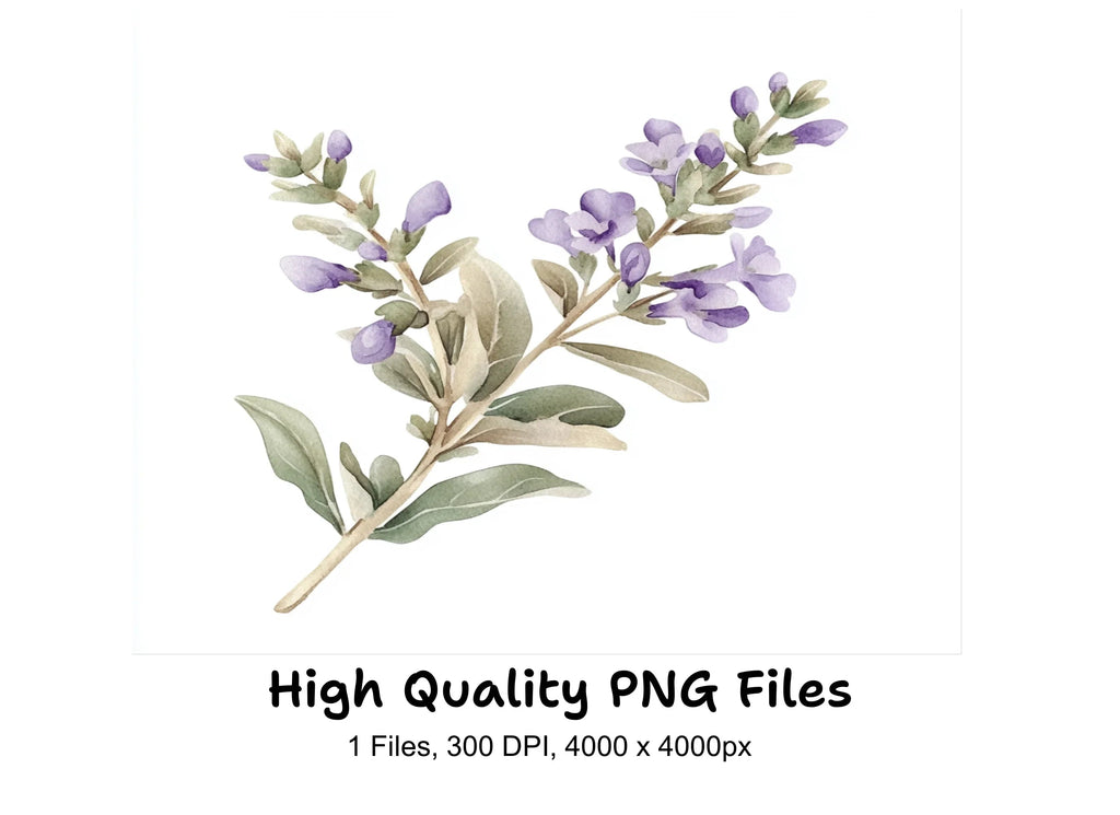 Delicate Lavender Sprig Clipart Bundle