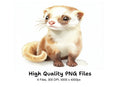 Adorable Ferret Clipart Bundle