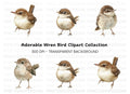 Cute Little Brown Birds Clipart Bundle
