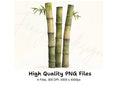 Lush Bamboo Forest Clipart Bundle