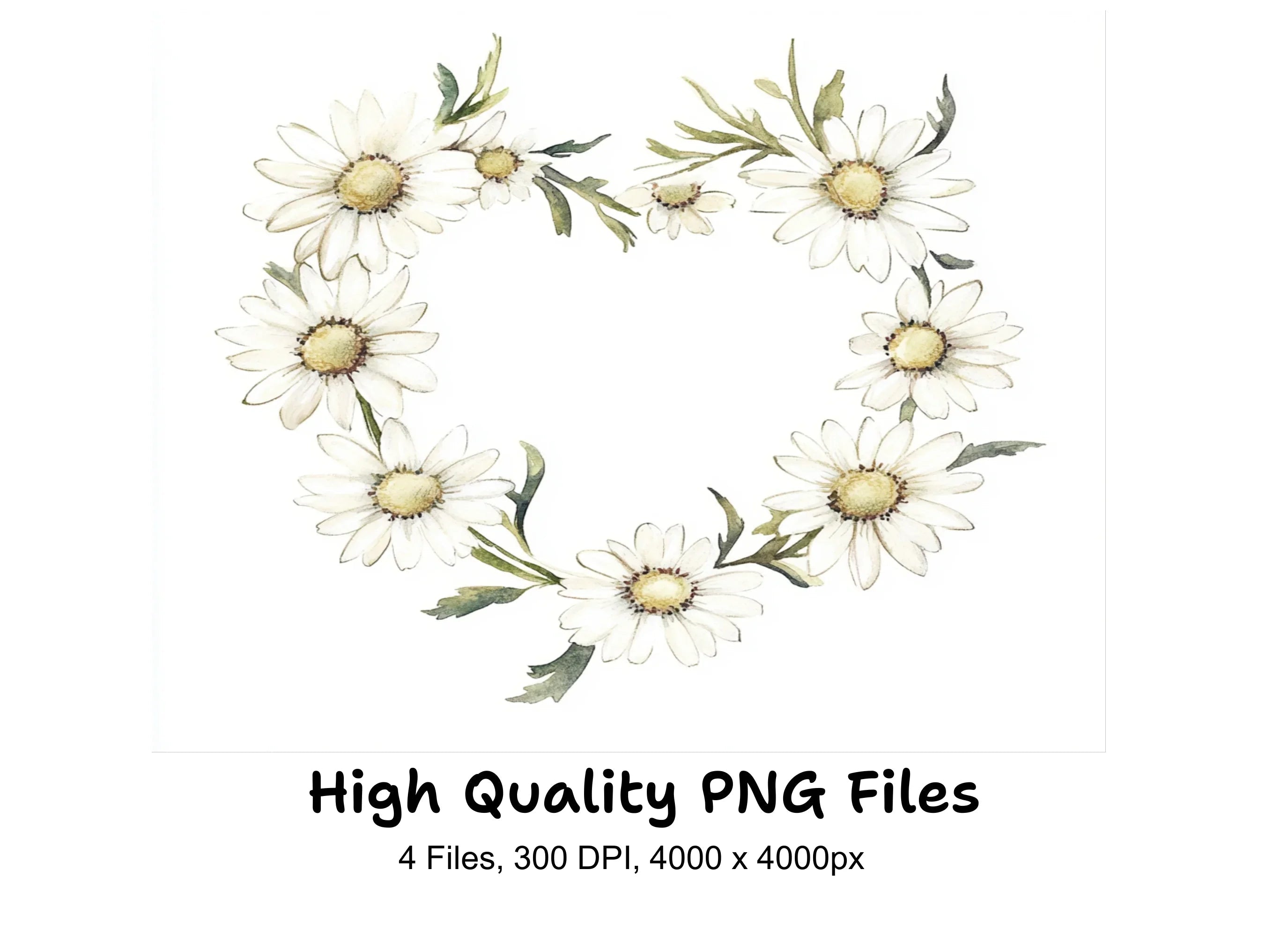 Charming Daisy Wreaths Clipart Bundle