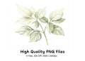 Green and White Leaves Clipart Bundle