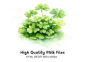 Clover Clipart Bundle
