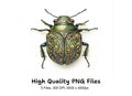 Ornate Patterned Beetle Clipart Bundle