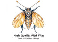 Golden Jeweled Wasp Clipart Bundle