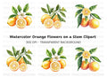 Citrus Fruit Clipart Bundle