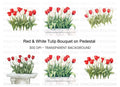 Vibrant Red and White Tulip Clipart Bundle