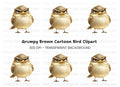 Grumpy Bird Clipart Bundle